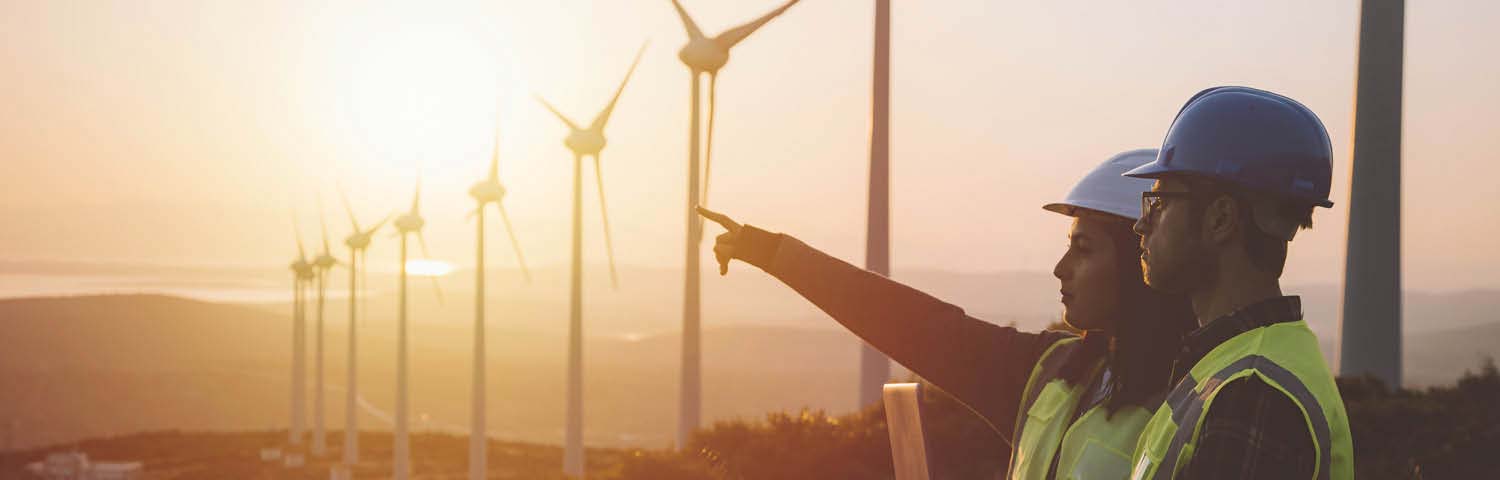 The top greenest countries for eco-friendly expats