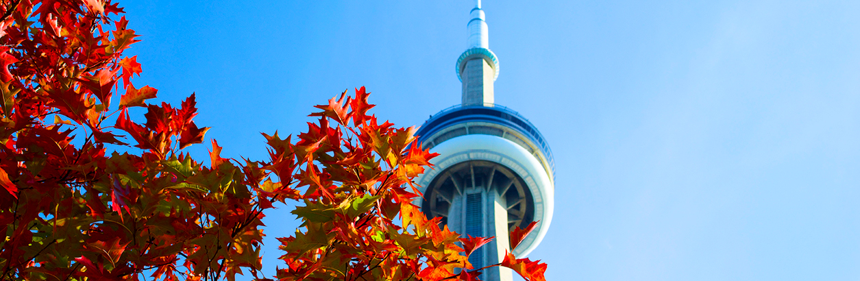 Emigrating from America: the most popular locations for US expats